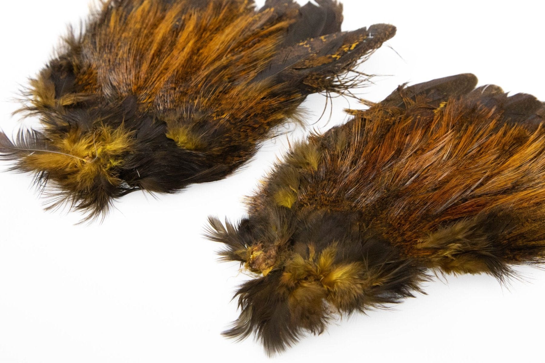 Whiting Coq De Leon Mayfly Tailing Pack - Image 3