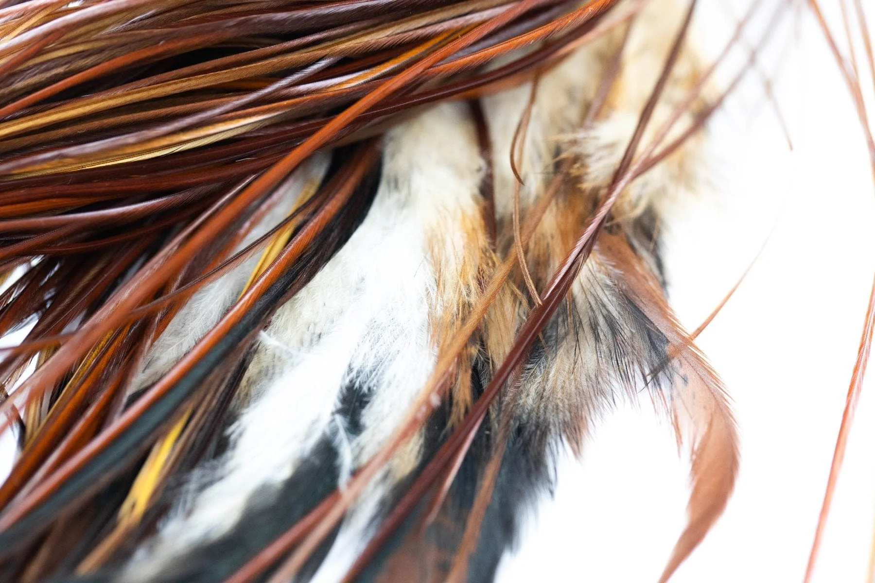 Whiting Silver Midge 1/2 Saddle - Grizzly Variant - Image 4